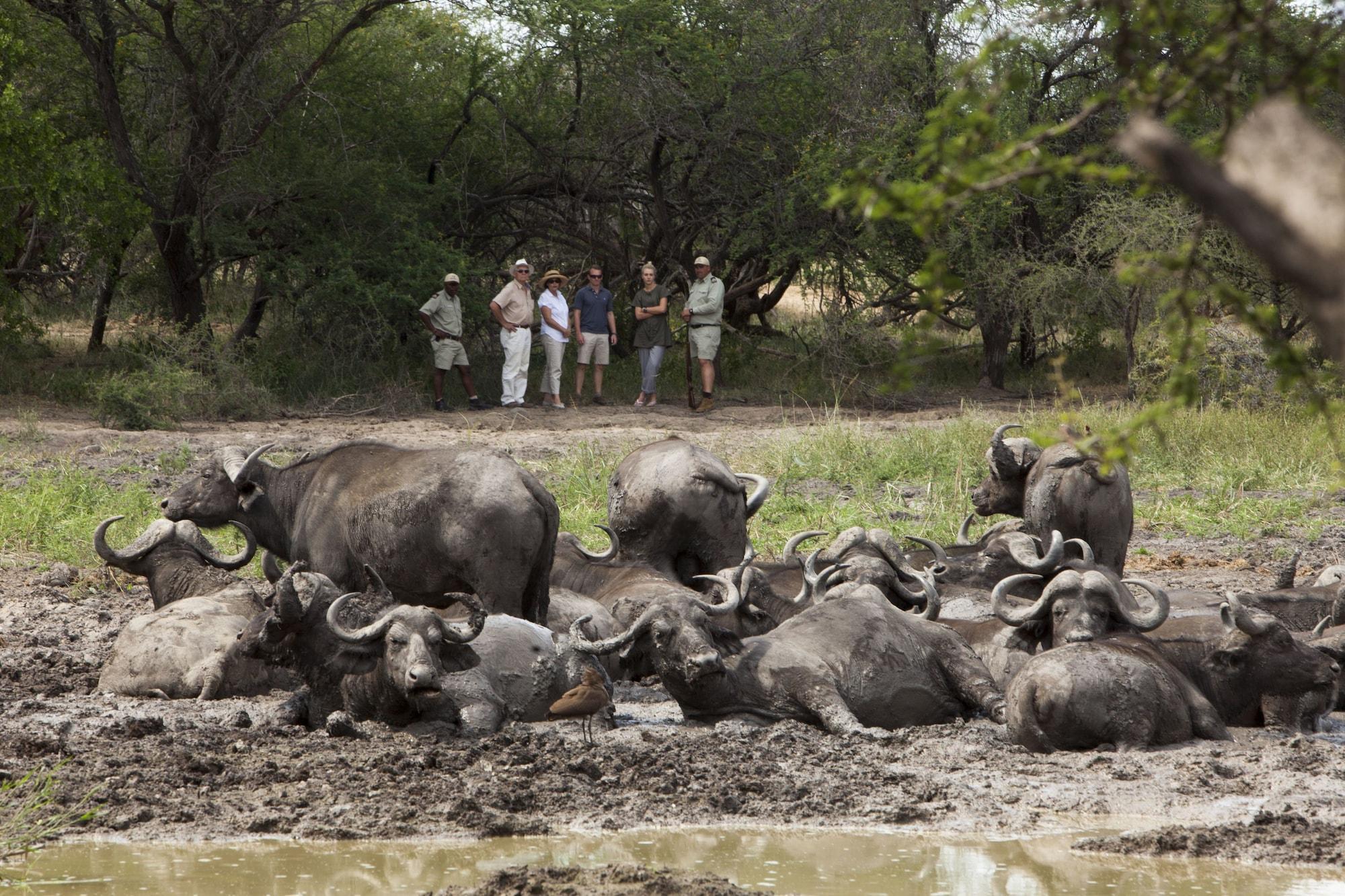 Kapama Southern Camp Hoedspruit Esterno foto