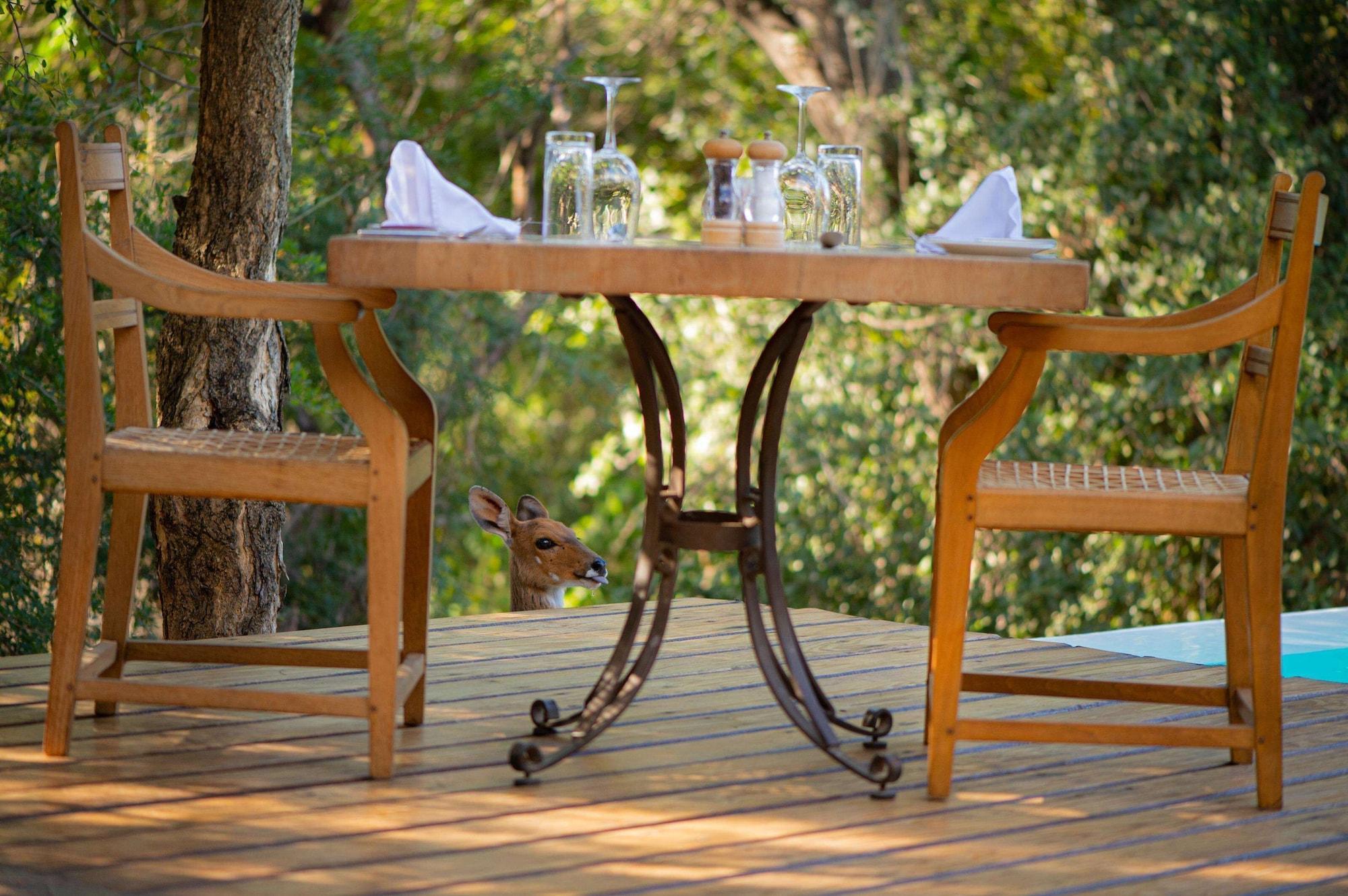 Kapama Southern Camp Hoedspruit Esterno foto