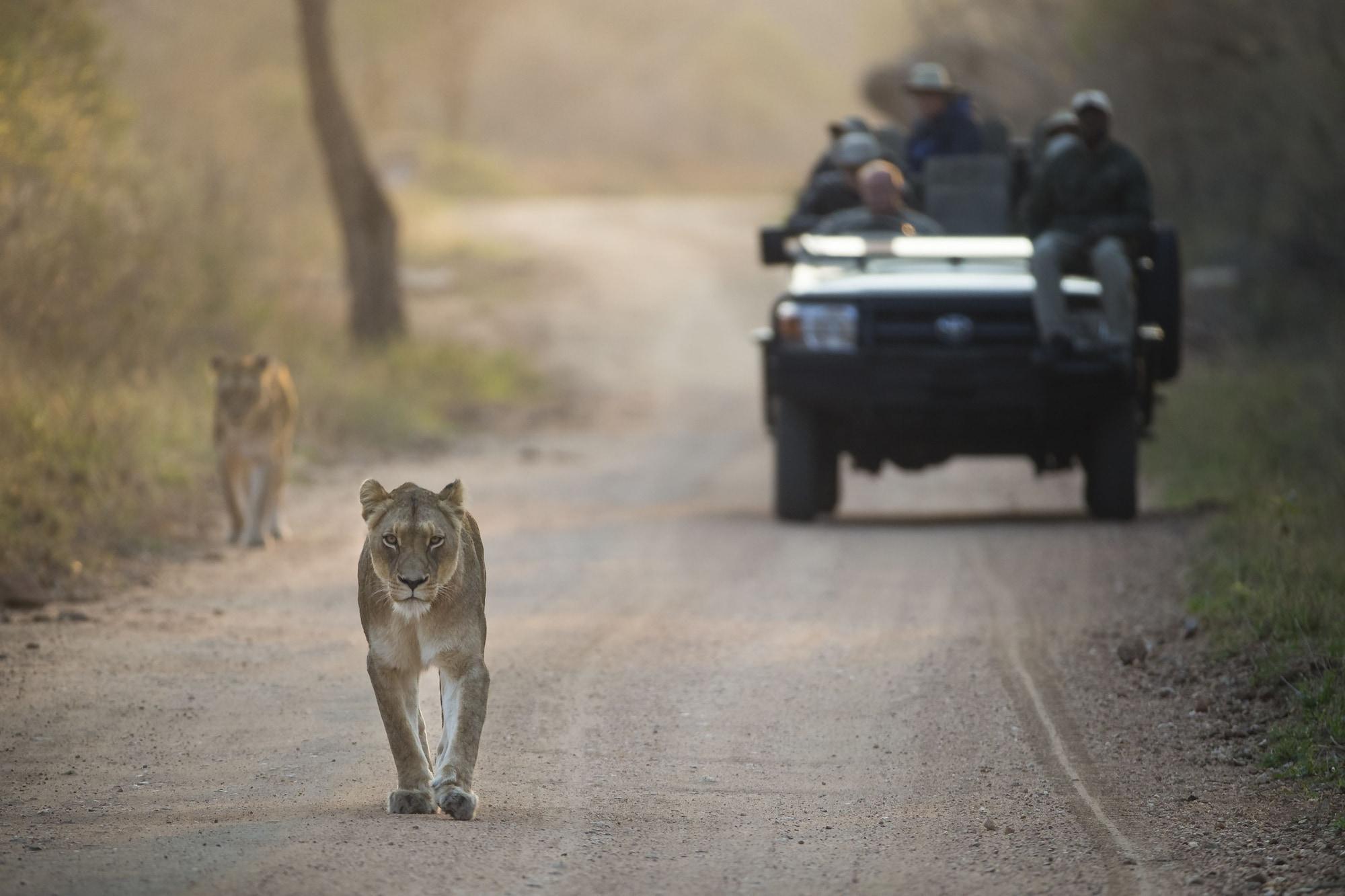 Kapama Southern Camp Hoedspruit Esterno foto