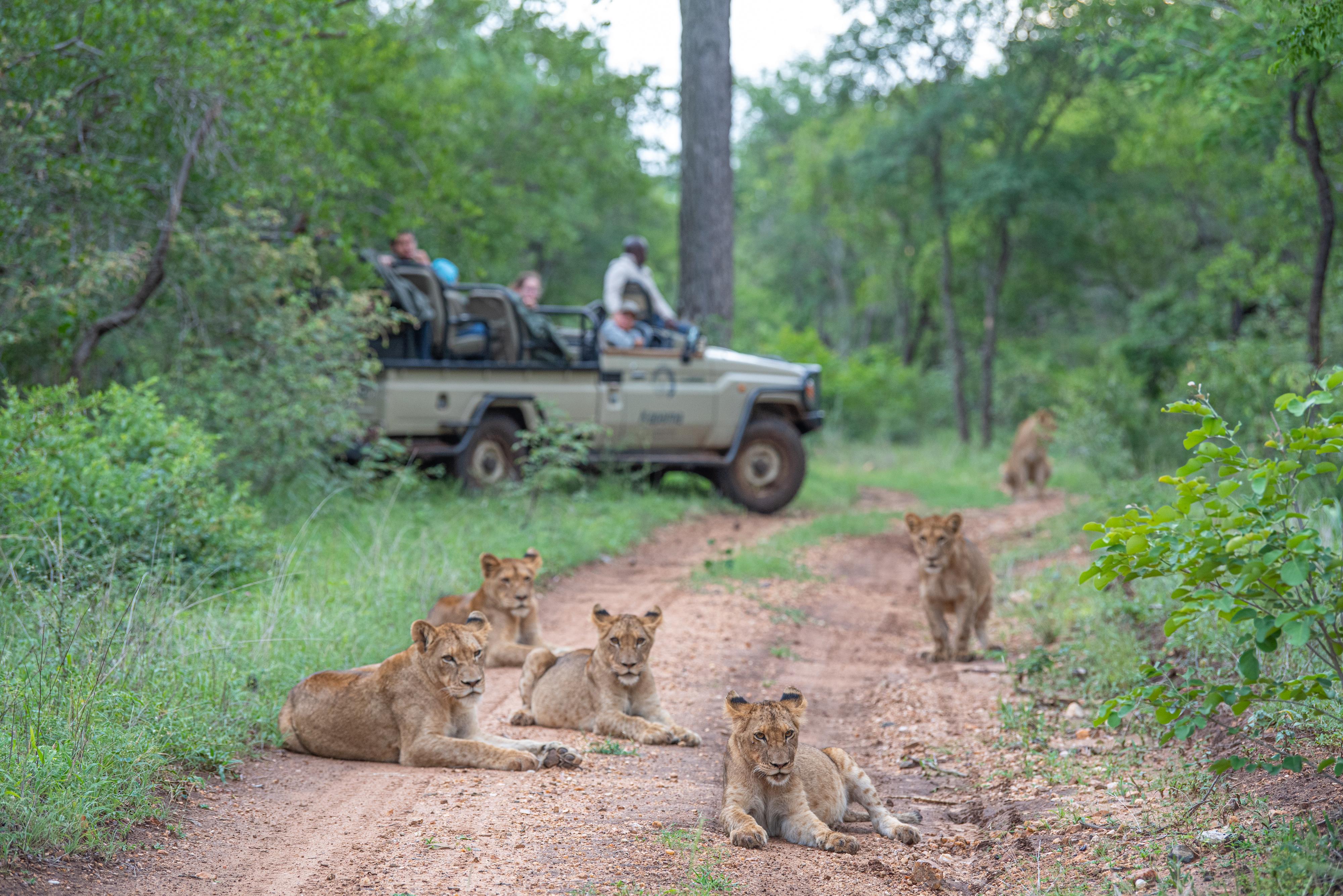 Kapama Southern Camp Hoedspruit Esterno foto
