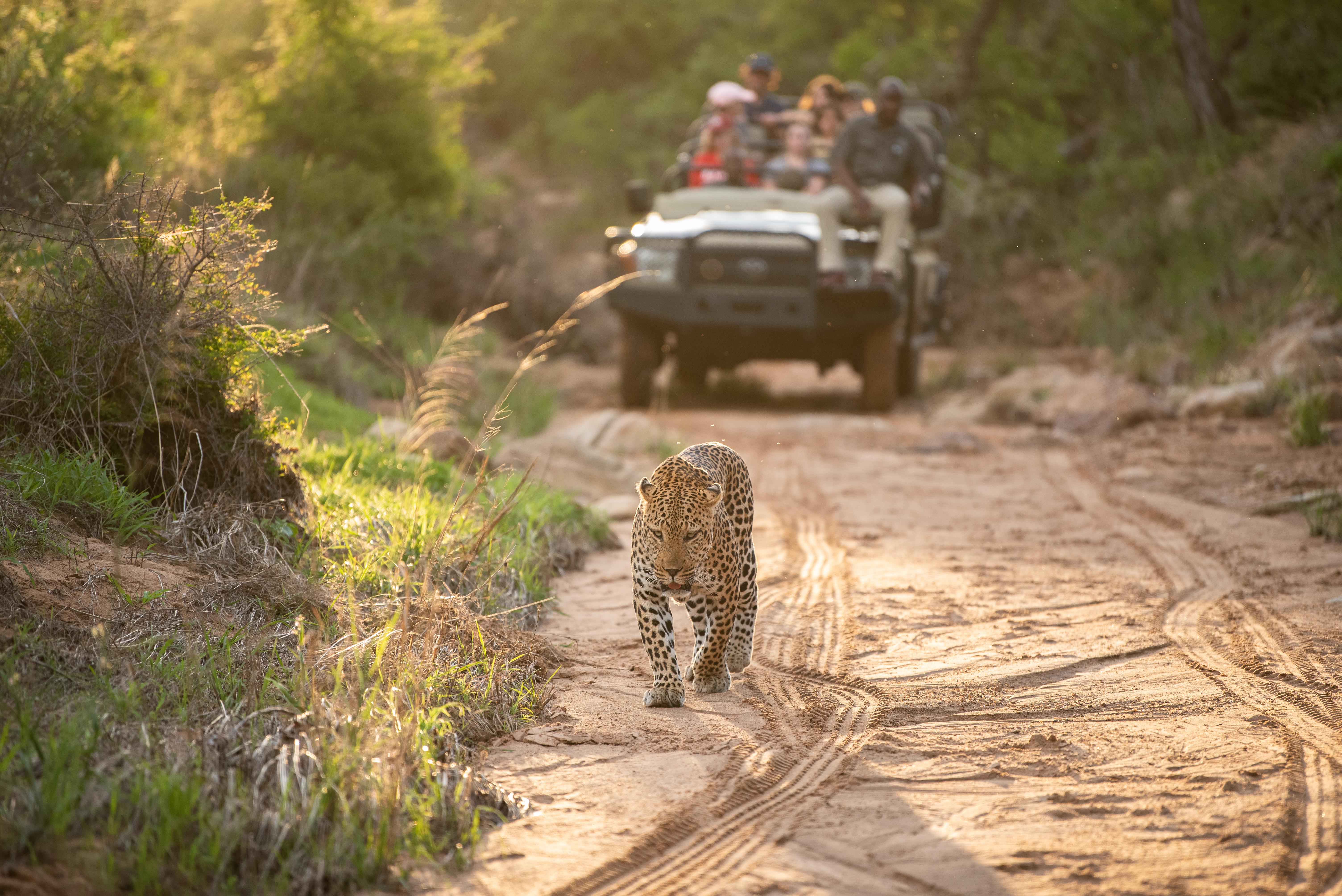 Kapama Southern Camp Hoedspruit Esterno foto
